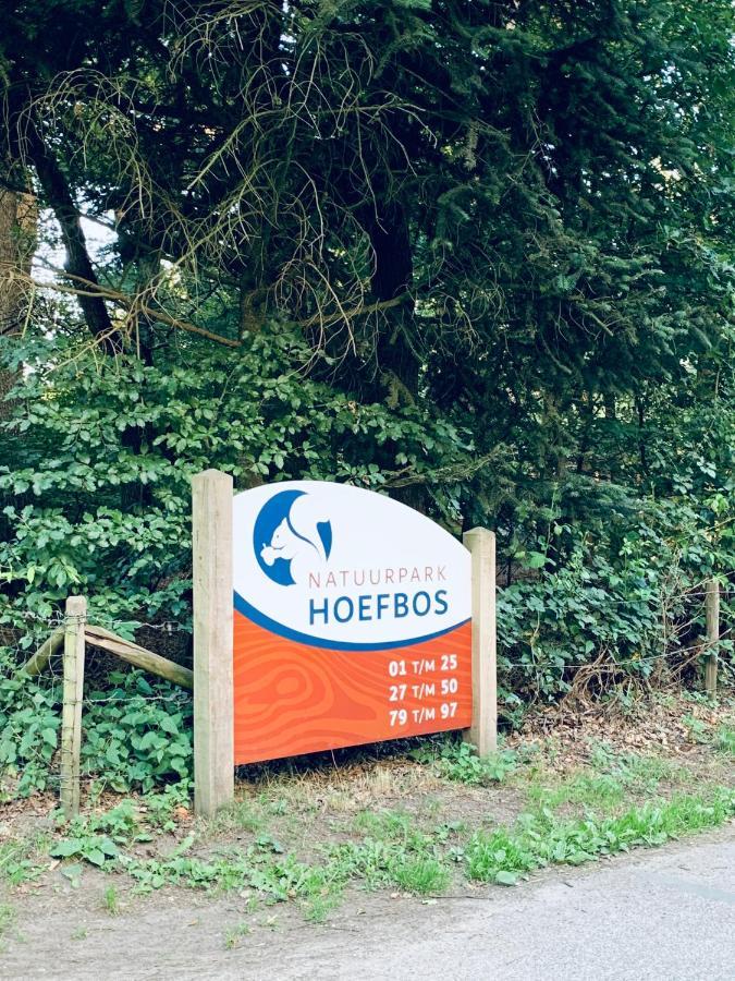De Spitse Egel: Ontdek De Pareltjes In De Natuur! Otterlo Exterior photo