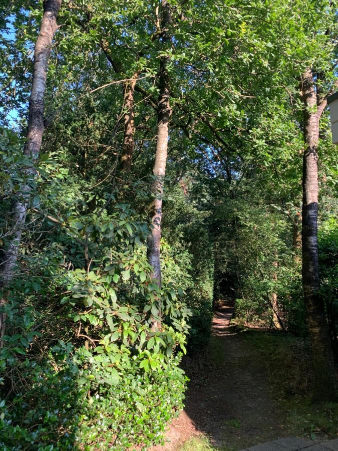 De Spitse Egel: Ontdek De Pareltjes In De Natuur! Otterlo Exterior photo